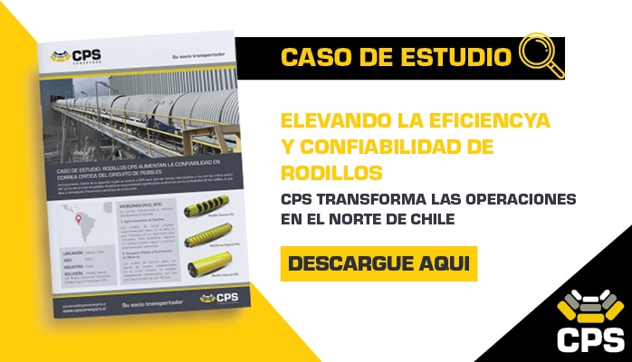This is a website article image for CPS LATAM Case study about Pebbles Circuit