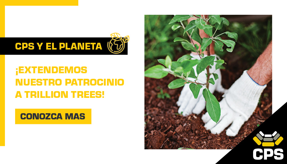 iEXTENDEMOS NUESTRO PATROCINIO A TRILLION TREES!