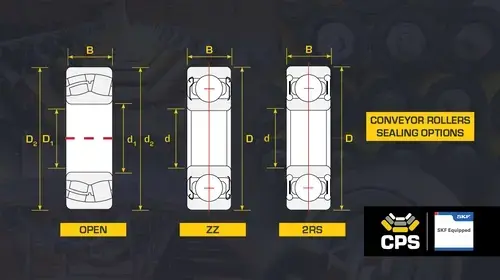 CPS-LinkedIn-ZZ vs 2 RS Sealing Options2